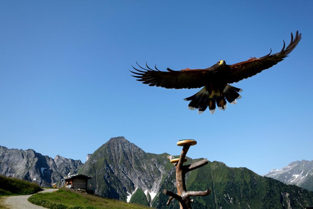 Gaestehaus Ahornblick Mayrhofen Zewnętrze zdjęcie